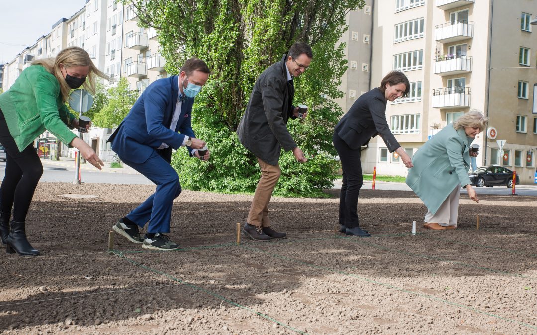 Stockholm receives its first pollinator friendly roundabout